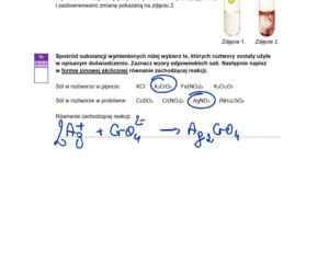 Matura 2026 z rozszerzonej chemii: odpowiedzi do wszystkich zadań z arkusza CKE 13.05.2026