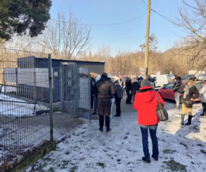 Zamieszanie w schronisku dla zwierząt w Bytomiu