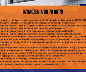 Masz te cyfry na prawie jazdy? Możesz mieć problemy w trakcie kontroli drogowej [ZDJĘCIA]