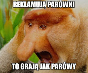 Polska Kolumbia - memy