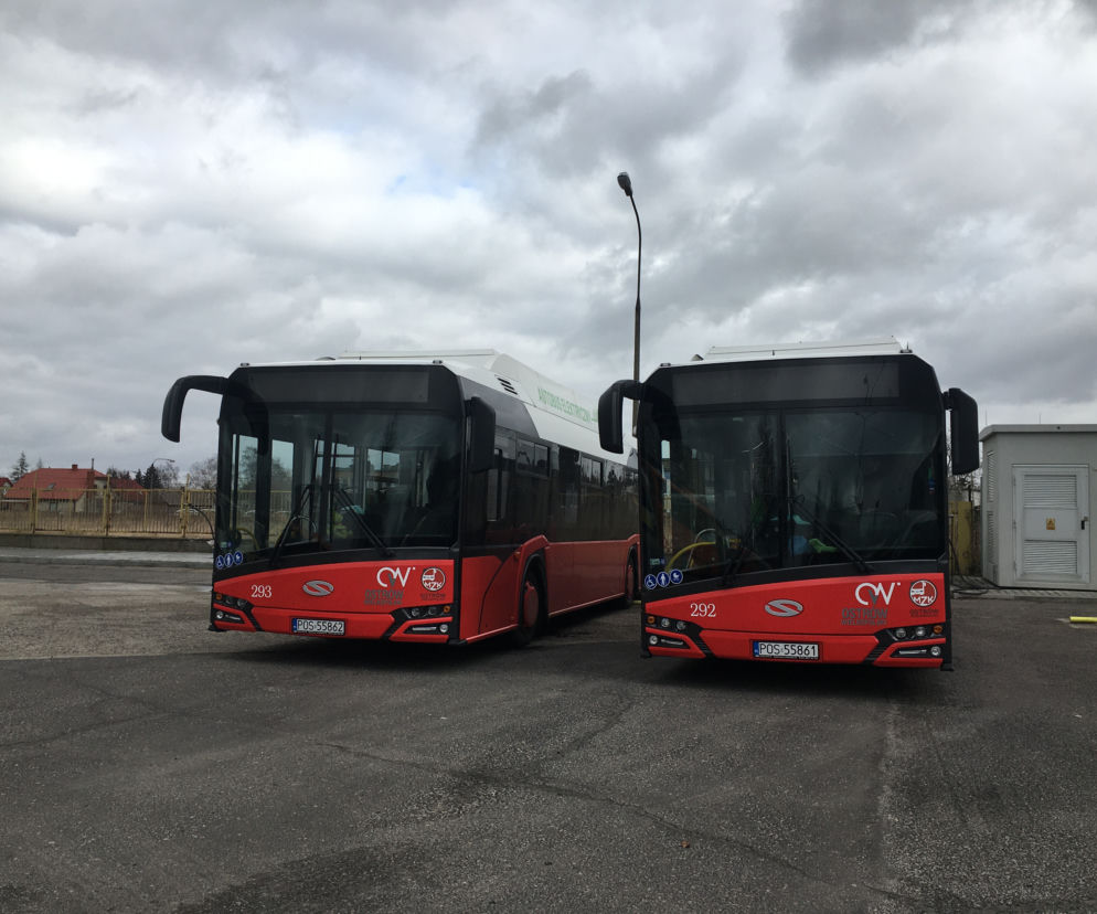 mzk ostrów