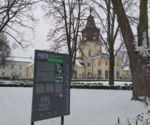 Jak wyglądała ulica Pułaskiego w Siedlcach w połowie stycznia 2021 roku?