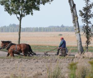 Magiczne Podlasie