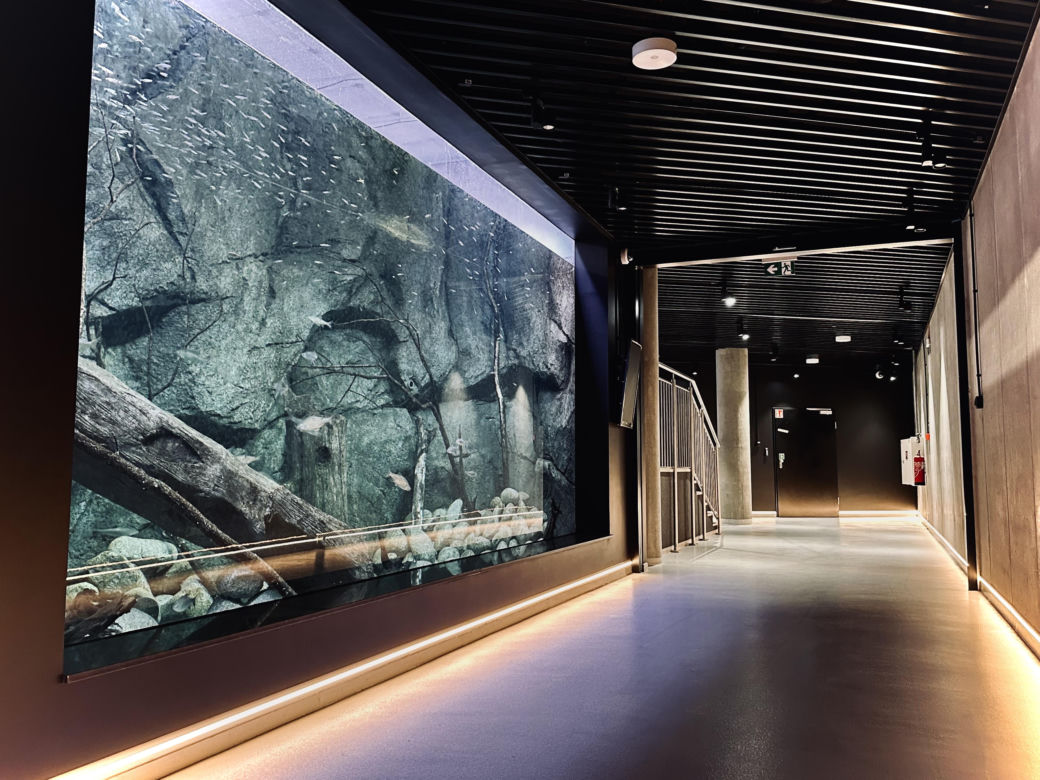 Nowe Egzotarium w Sosnowcu