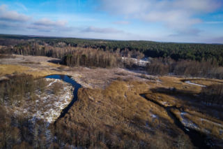 Niemowlę trafiło do szpitala. Akcja ratunkowa na bagnach. Irakijczycy próbowali nielegalnie przekroczyć granicę