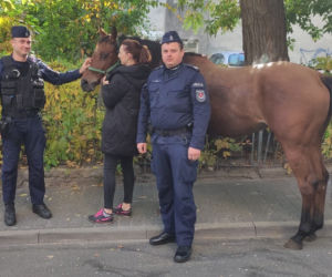 Wakara galopowała przez centrum Lublina! Ludzie byli w szoku