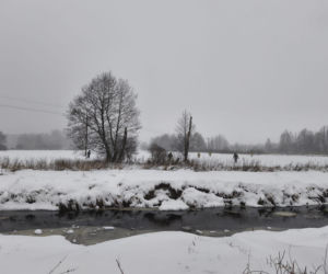 Pokłóciła się z mężem i wysiadła z samochodu bez kurtki. Tragiczny finał poszukiwań 37-latki
