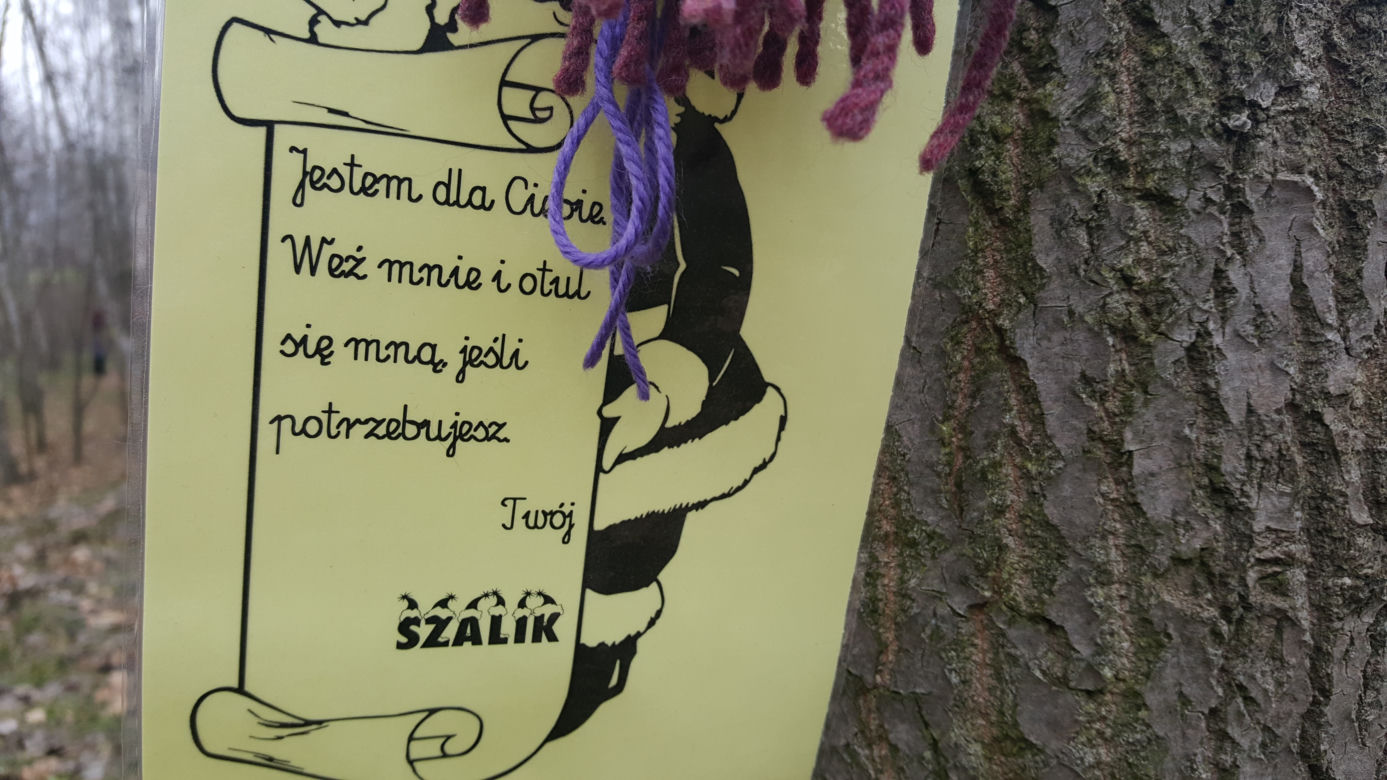 Akcja "Szalik dla drzewa" w Jaworznie