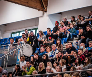 Anioły Toruń - KPS StalPro Joker Powiat Pilski, zdjęcia z meczu