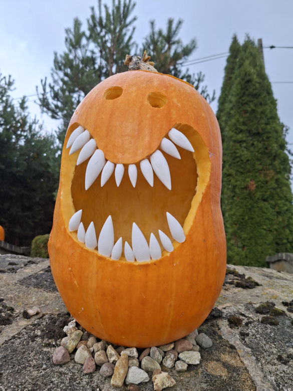 Oto najbardziej halloweenowy dom w Świętokrzyskiem!