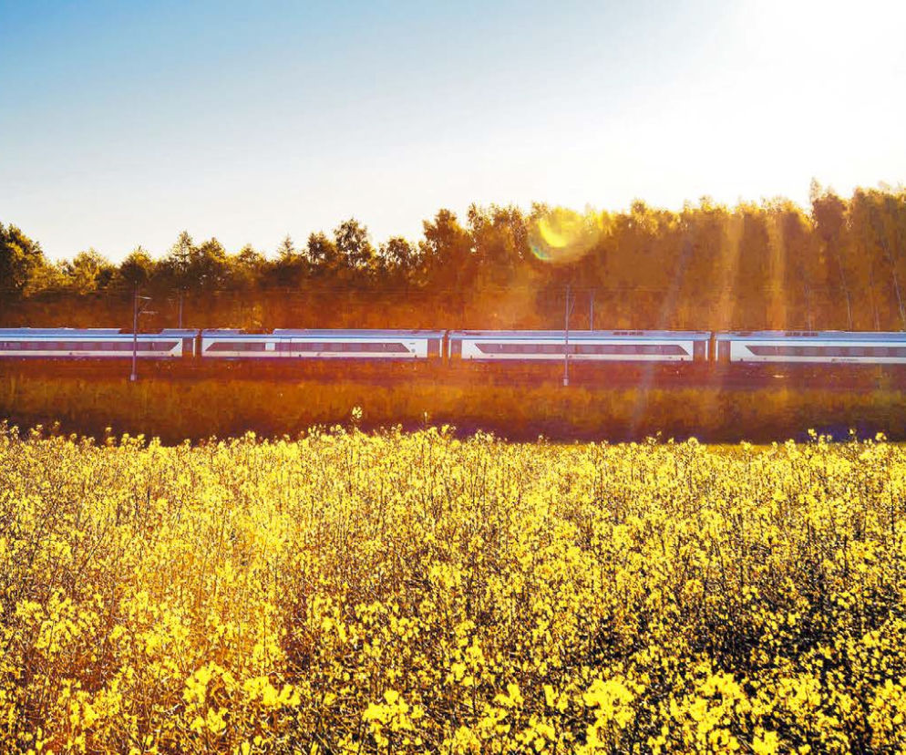 Wakacyjny rozkład jazdy pociągów PKP Intercity. Więcej połączeń i wyższy komfort podróżowania