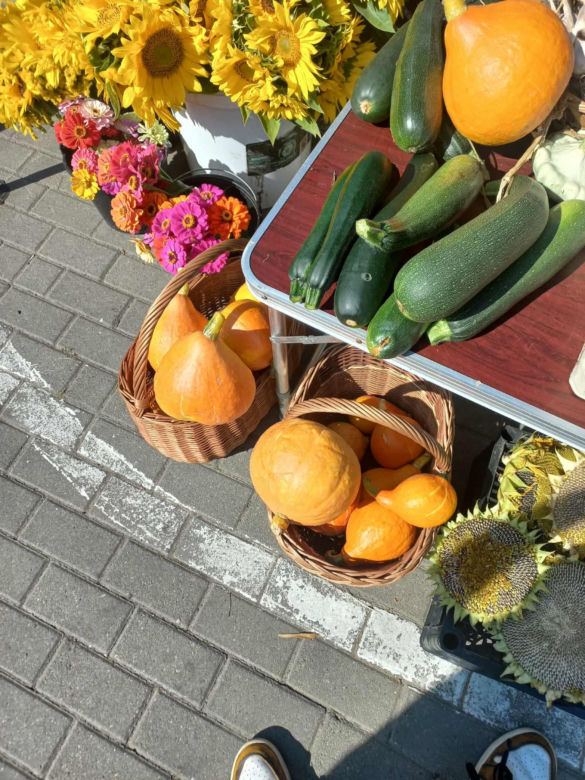 Jesień wkracza na targowiska w Rzeszowie. Kupisz już grzyby, dynie, orzechy i inne przysmaki!