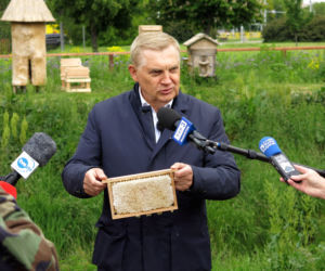 Białystok. Pierwsze miodobranie w pasiece miejskiej