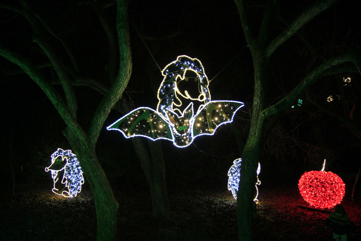 Park iluminacji „Tajemniczy Ogród” w Lublinie