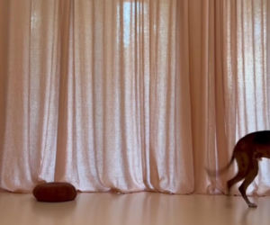 Marcin Prokop i Maria Prokop: Kiedy się rozstali?