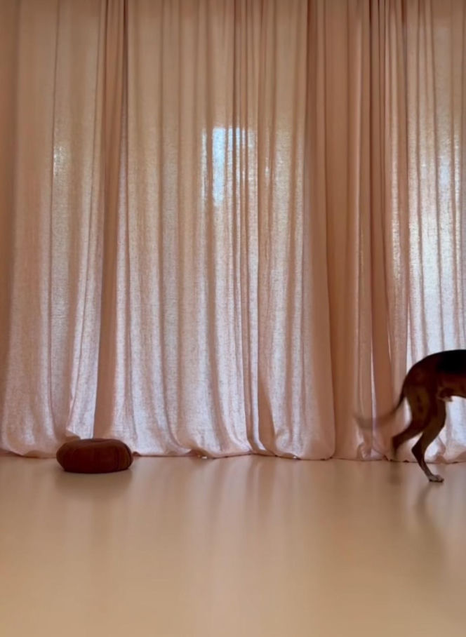 Marcin Prokop i Maria Prokop: Kiedy się rozstali?