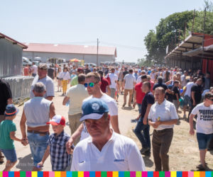 Targi rolnicze w Szepietowie 2019