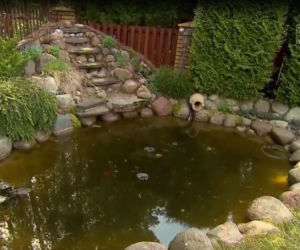 Dom Zenka Martyniuka