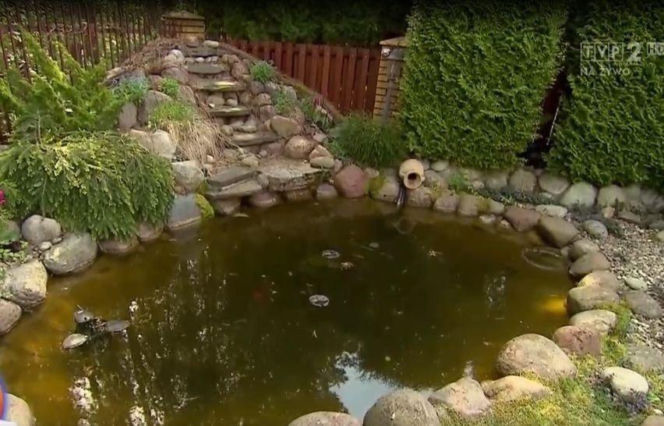 Dom Zenka Martyniuka