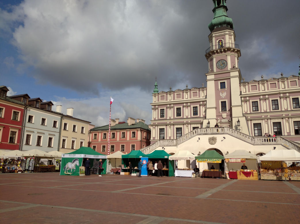 Grzybobranie lubelskie - naturalnie! Zamość 2023