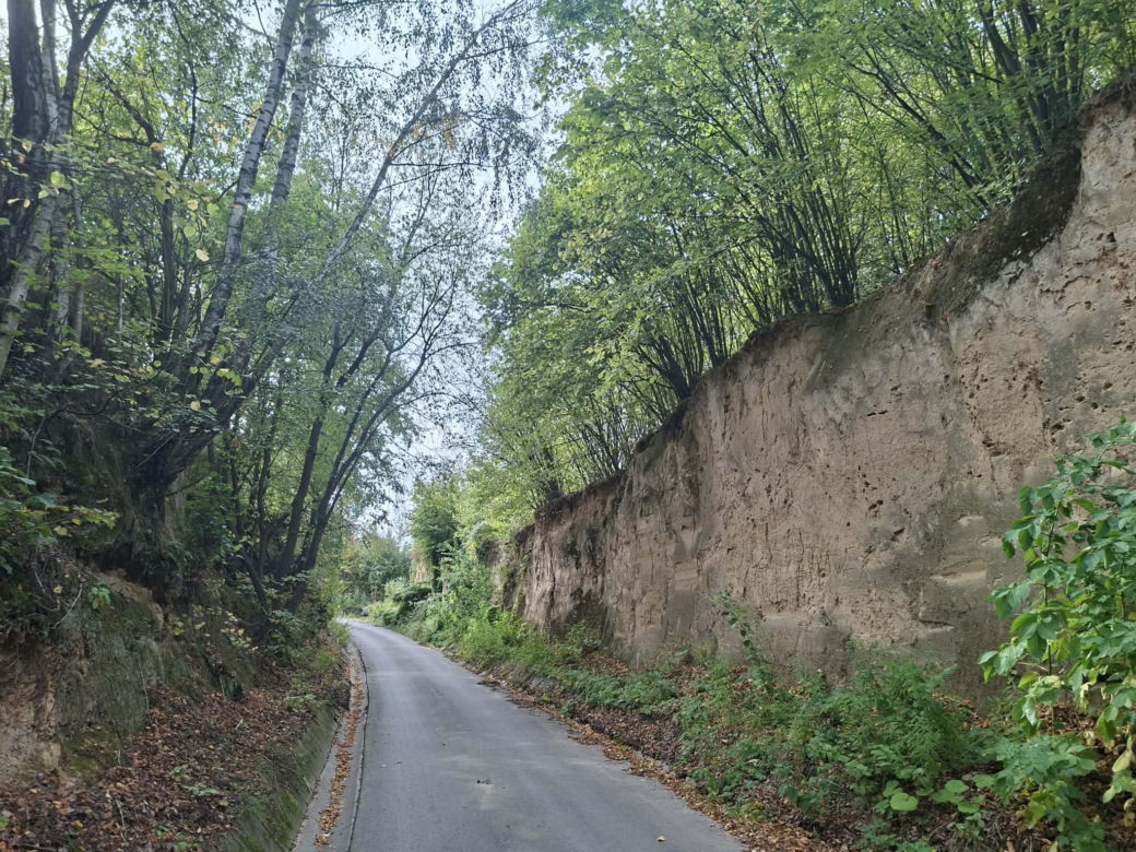 Udziców Świętokrzyskie. Wąwóz