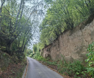 Udziców Świętokrzyskie. Wąwóz
