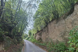 Udziców Świętokrzyskie. Wąwóz
