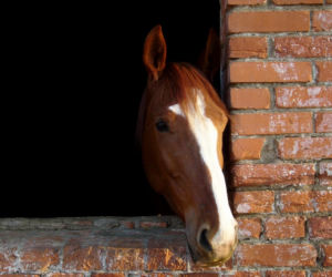 Zdjęcie 5971