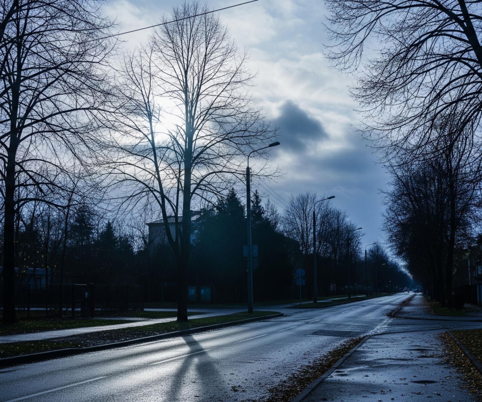 Ulica jest mokra, co sugeruje, że niedawno padał deszcz. Po lewej stronie widać chodnik i trawnik, a dalej budynki i drzewa bez liści, ukazujące nagie konary na tle jasnego nieba. Po prawej stronie również ciągnie się chodnik, a za nim szereg budynków mieszkalnych, oświetlonych nieco bardziej niż strona lewa. Głębiej, wzdłuż ulicy, widać słupy z latarniami, a na horyzoncie zarys świateł pojazdów.