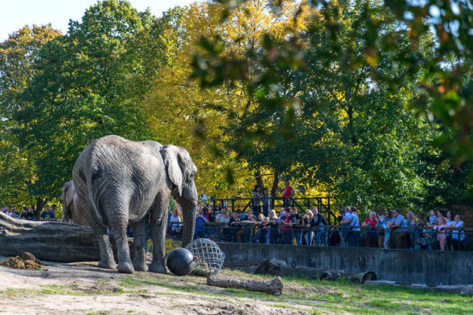 Najlepsze ogrody zoologiczne w Polsce [ZDJĘCIA]