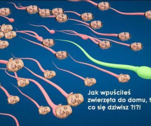 Warsaw Shore - Ekipa z Warszawy MEMY
