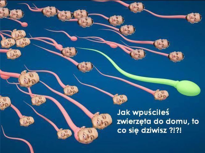 Warsaw Shore - Ekipa z Warszawy MEMY