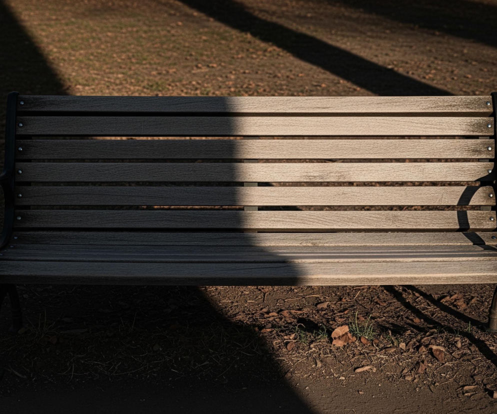 Na zdjęciu widoczna jest drewniana ławka parkowa z metalowymi, czarnymi podłokietnikami i nogami. Ławka jest przecięta pionowo przez linię cienia, dzieląc ją na dwie części: lewą, pogrążoną w cieniu, oraz prawą, oświetloną słońcem, która ukazuje jasnobrązowe deski z widoczną fakturą drewna. Tło stanowi ziemia pokryta suchymi liśćmi i trawą, również częściowo w cieniu, a częściowo oświetlona, z kilkoma dłuższymi, ukośnymi cieniami rozciągającymi się od górnej krawędzi obrazu.