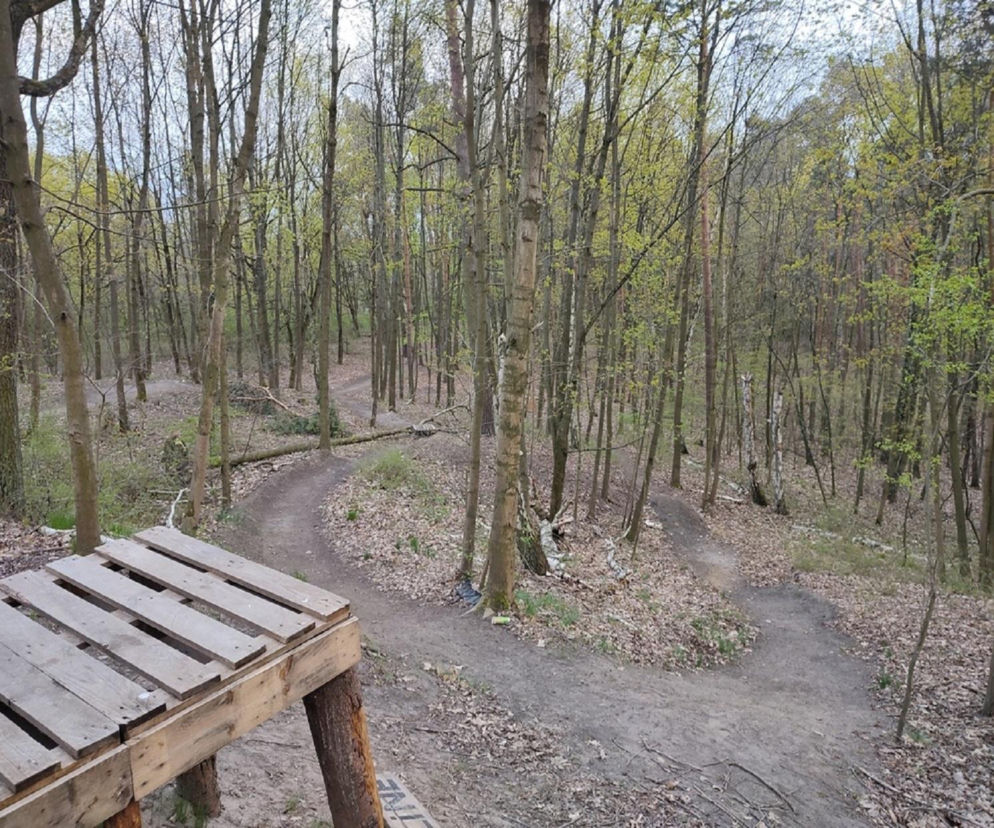 Ciężkie i liczne obrażenia 17-latka. Są wstępne wyniki sekcji