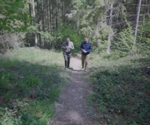Niedźwiedzie coraz bliżej ludzi. Strach w Bieszczadach narasta: „Boimy się wyjść z domu”