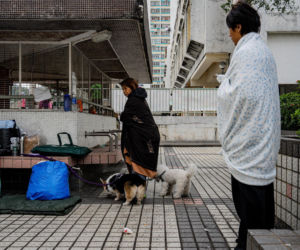 Hongkong / Pożar wieżowców. Liczba ofiar wzrosła już do 44.