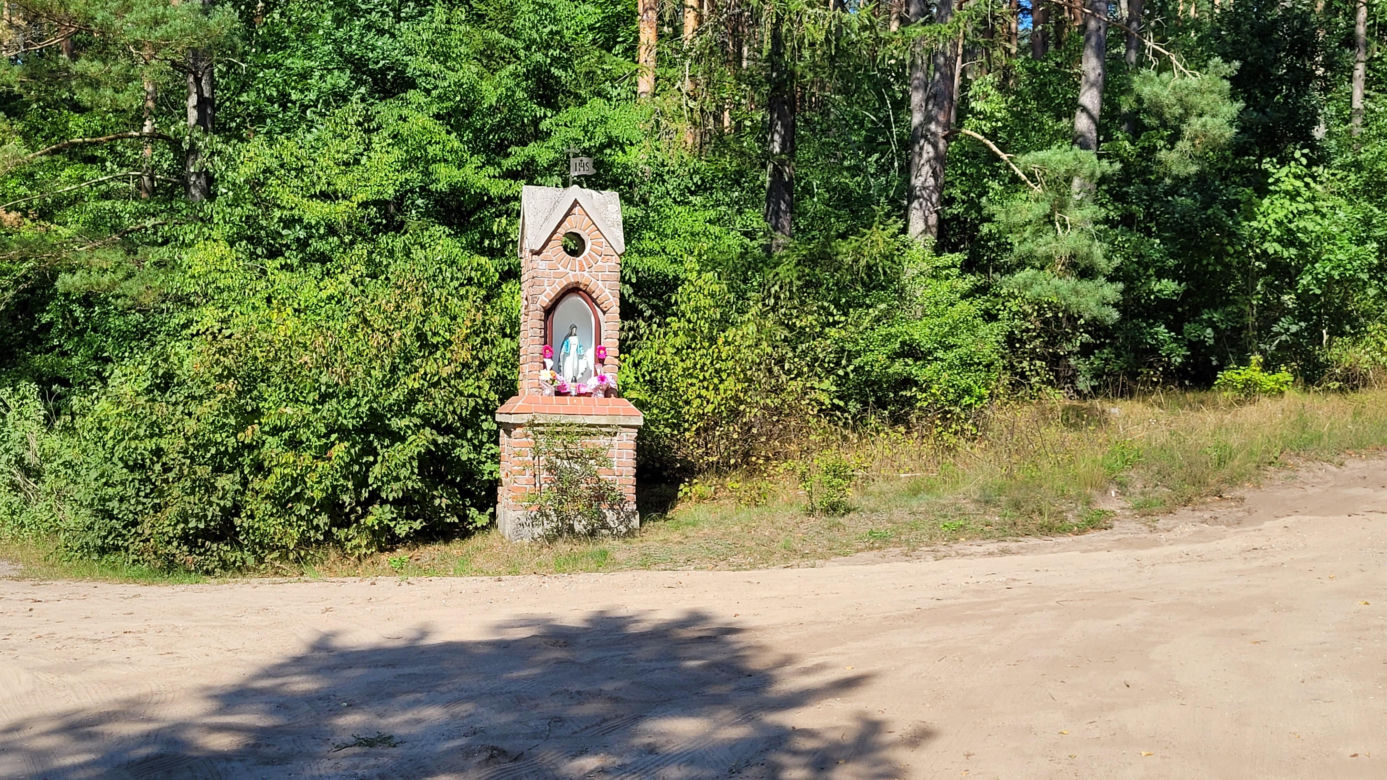Orzechowo – zniszczona przez komunizm wieś-widmo, w której prawie nikt nie mieszka
