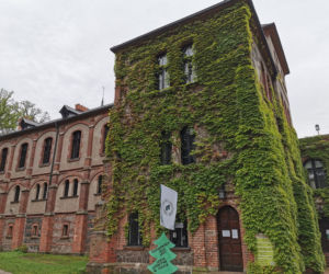Spacer po Ośrodku Kultury Leśnej w Gołuchowie 