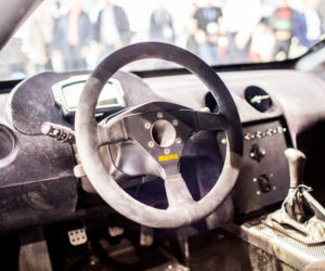 Arrinera Hussarya
