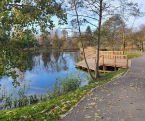 Rewitalizacja stawu przy ul. Bema w Białymstoku
