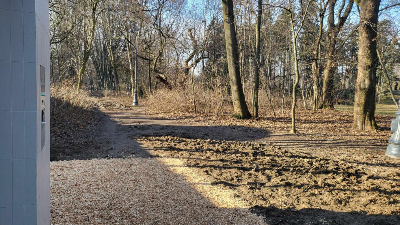 Trociny usypane w drodze do toalety automatycznej w parku