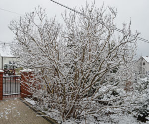 Zima Starachowice 29.11.2020