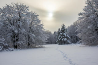 Zima wraca do Polski. Kto zobaczy śnieg, a kto obejdzie się smakiem?