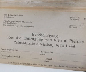 Historyczne znalezisko na warszawskiej Pradze