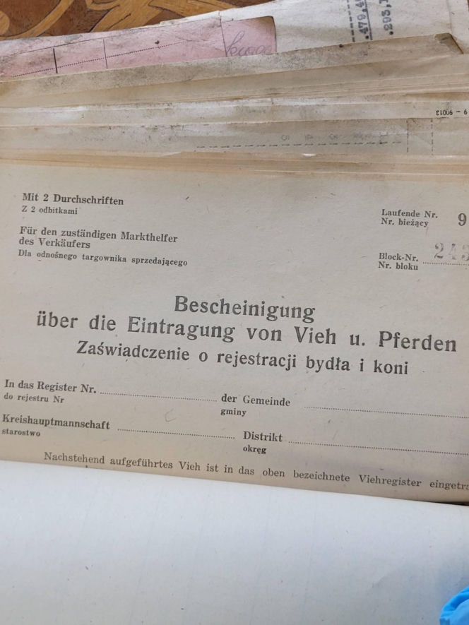 Historyczne znalezisko na warszawskiej Pradze