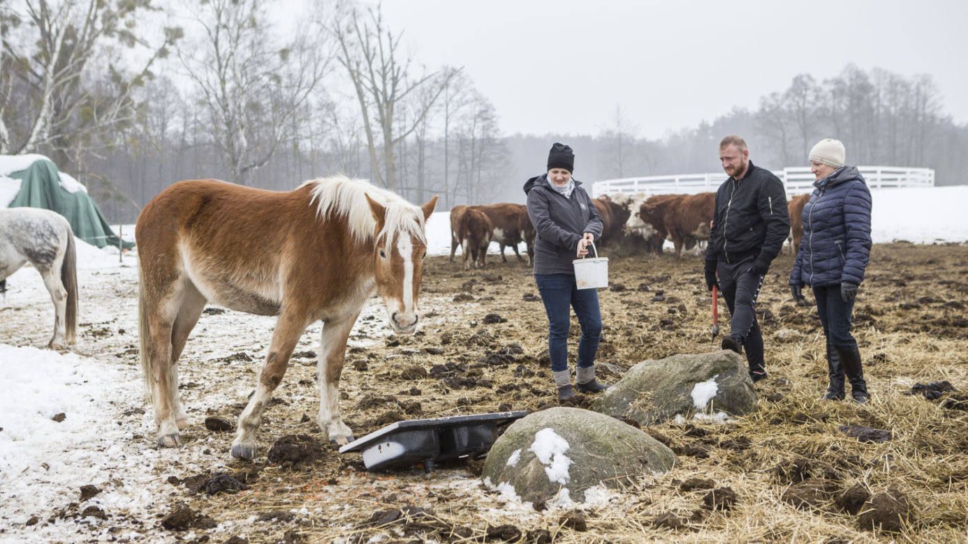Emilia Korolczuk - gwiazda serialu "Rolnicy. Podlasie"