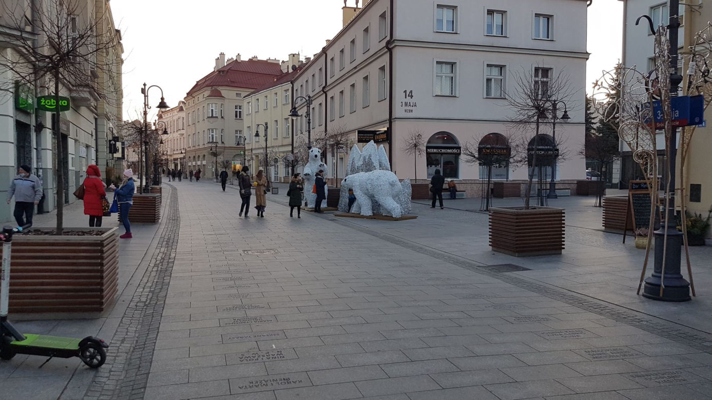 Białe misie na 3 Maja w Rzeszowie