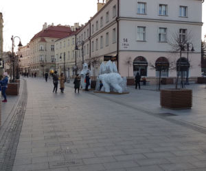 Białe misie na 3 Maja w Rzeszowie