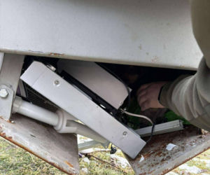 Doda cudem uniknęła śmierci! Właścicielka wyrzuciła ją do kontenera na elektrośmieci