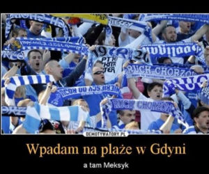 Memy meksyk gdynia kibice z chorzowa (8)